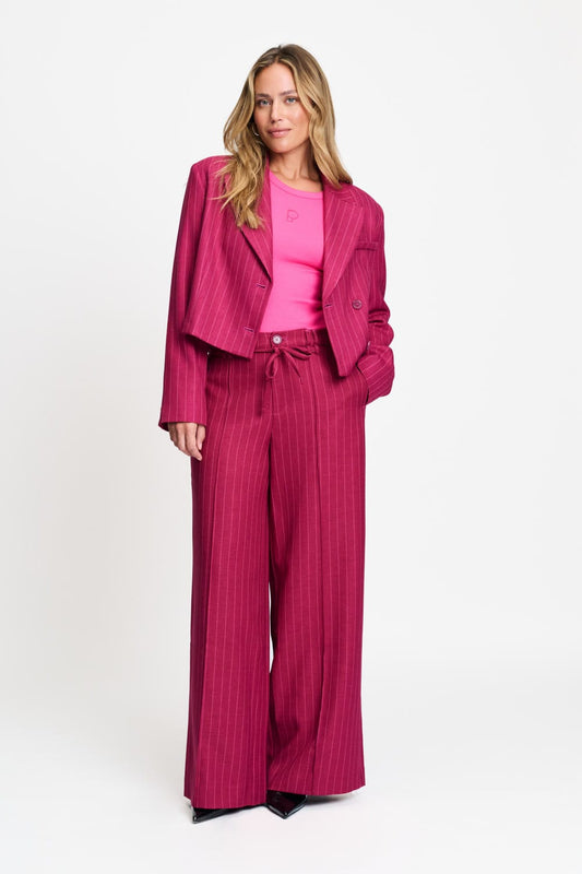POM Amsterdam Pants BROEK - Jess Striped Burgundy Red